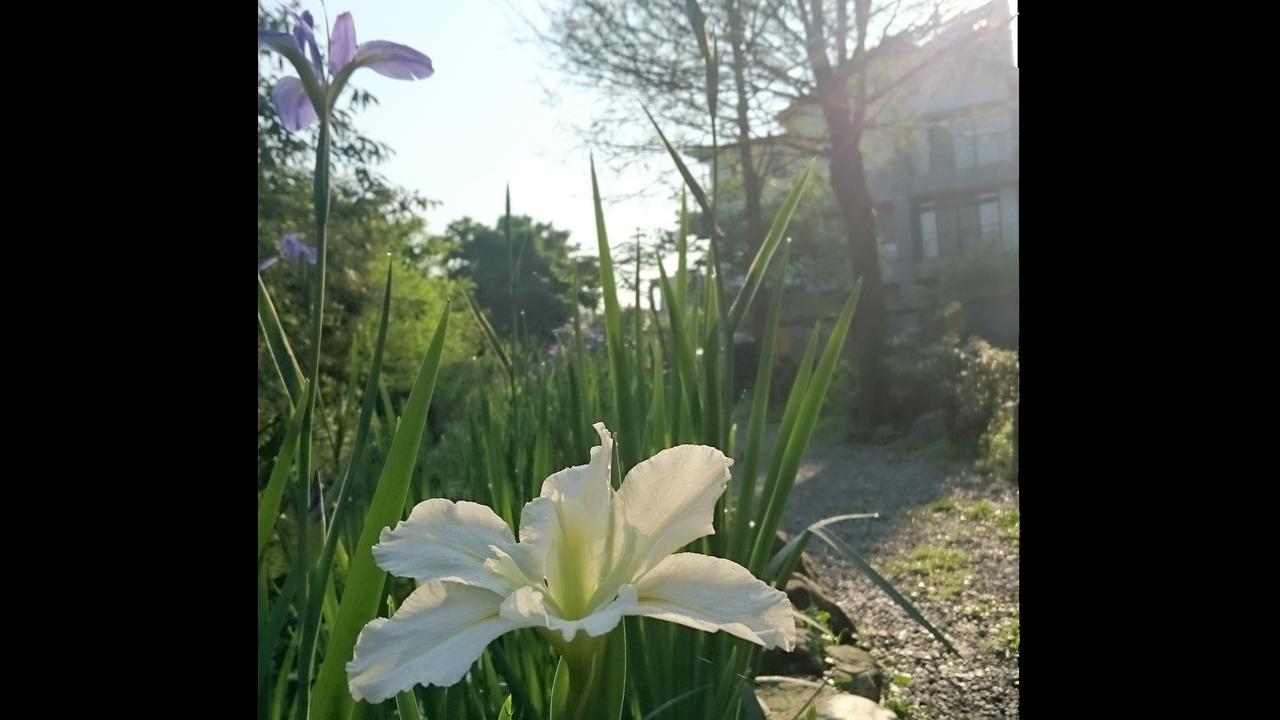 Stone House Homestay Yilan Kültér fotó